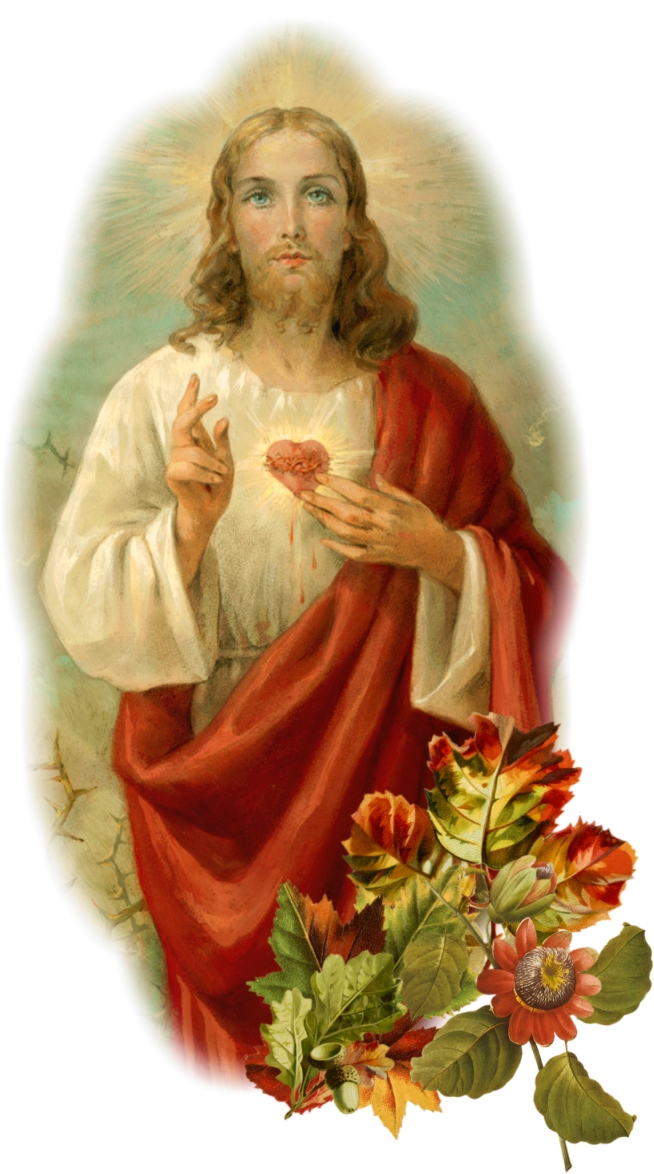 THE SACRED HEART