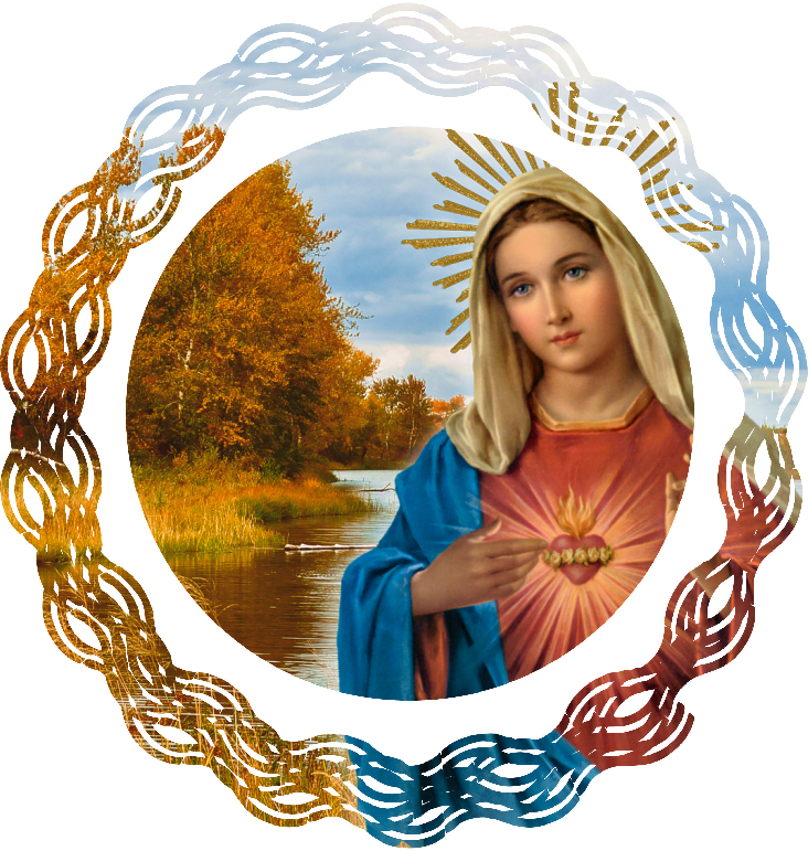 THE IMMACULATE HEART