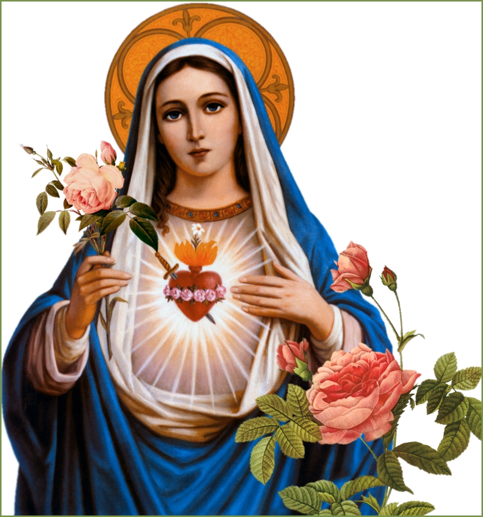 IMMACULATE HEART