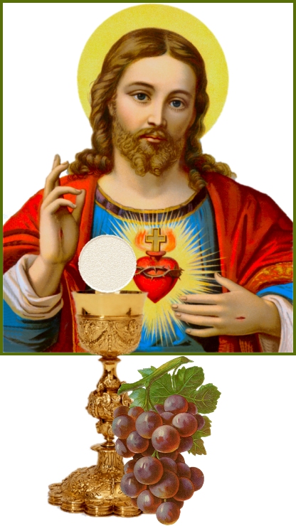 SACRED HEART EUCHARISTIC IMAGE