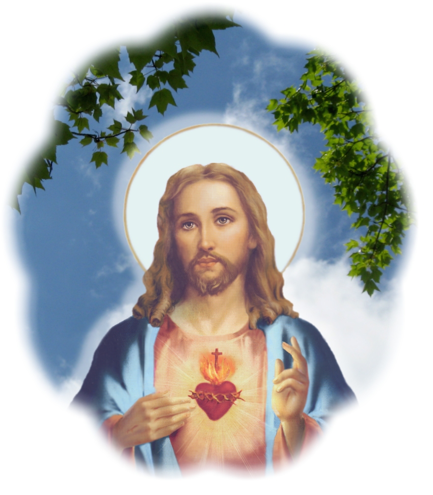 SACRED HEART 22 IMAGE 3