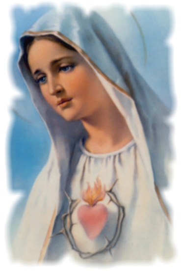 THE IMMACULATE HEART