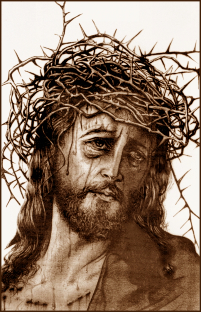 CROWN OF THORNS