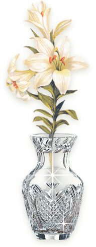 LILY IN CLEAR VASE