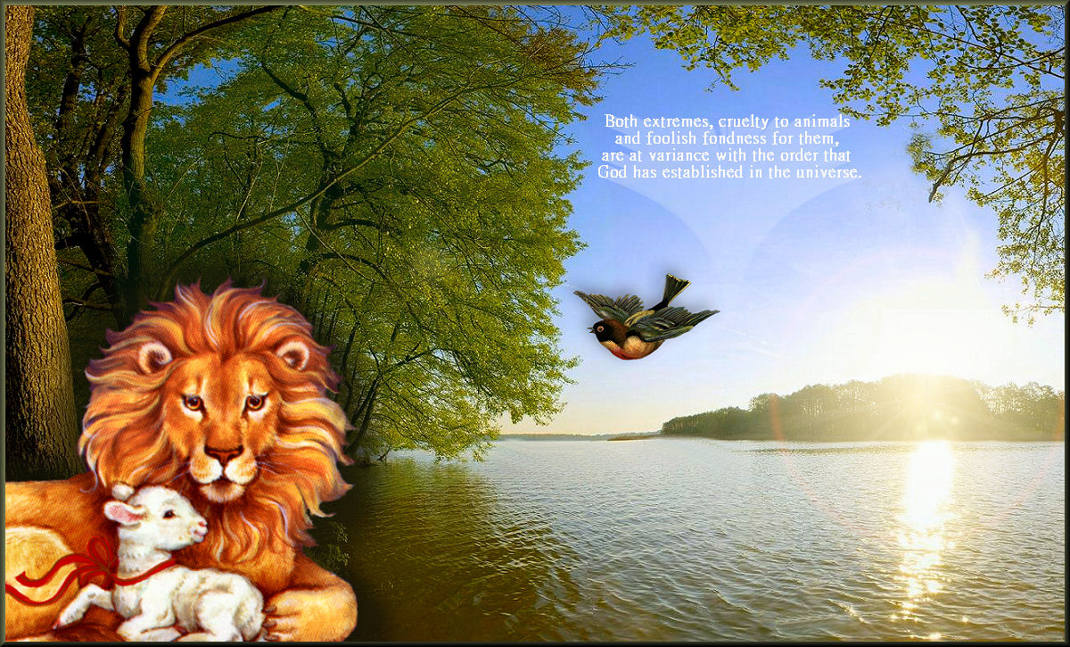 COMPOSITE IMAGE: LION AND LAMB WITH BIRD