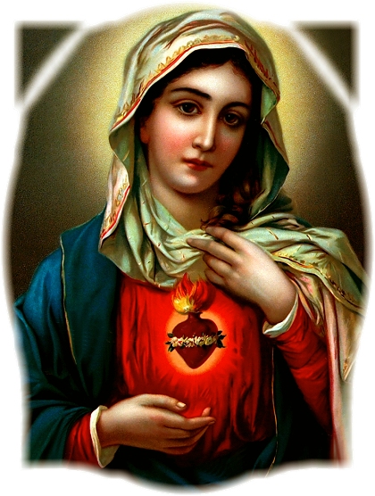 THE IMMACULATE HEART