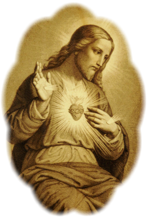 THE SACRED HEART