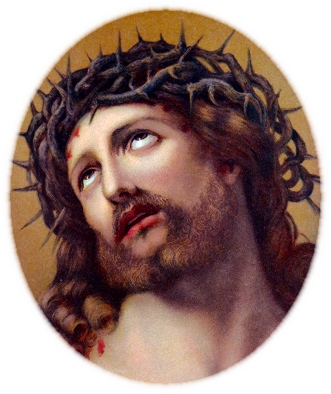 CROWN OF THORNS